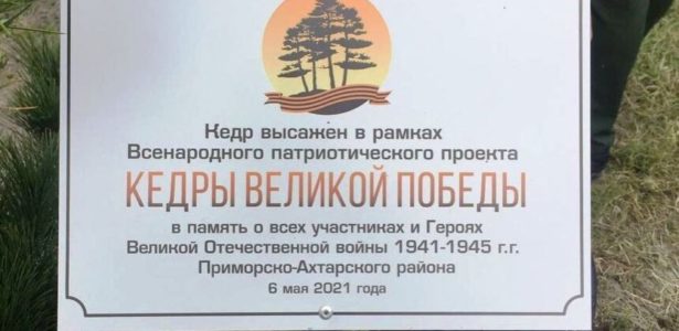 Всероссийская акция «Кедры Великой Победы»