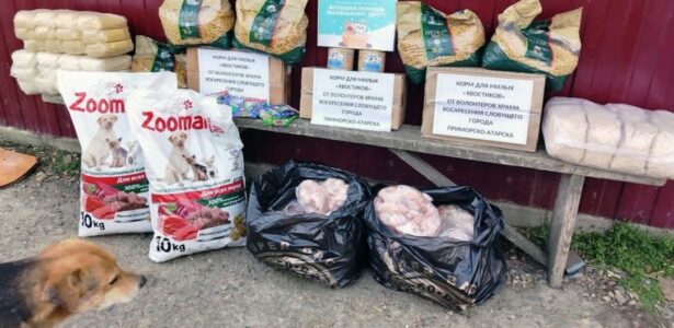 Акция «Большая помощь маленькому другу» в Приморско-Ахтарском храме Воскресения Словущего