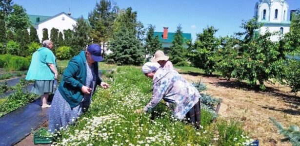 Трудовая поездка Приморско-Ахтарских волонтёров в женский монастырь